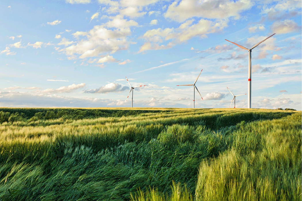 Wind turbines in a green field — renewable energy sustainability